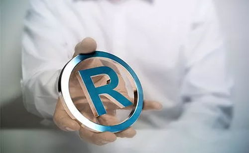 商標(biāo)注冊(cè)查詢與工商注冊(cè) 護(hù)航品牌，奠定商業(yè)基石